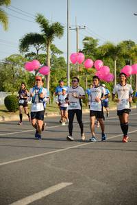 BIB: 
                            <button type="button" onclick="openModal(3319265)" class="btn btn-primary btn-sm float-right btn-popup" data-toggle="modal" data-target=".modal-high-quality">
                        <i class="fas fa-shopping-cart"></i> Add to Cart
                    </button>
                                            <button type="button" onclick="isThisMe(3319265, true)" class="btn btn-success btn-sm float-right btn-popup btn-isme hidden" data-toggle="tooltip" data-placement="bottom" title="นี่คือรูปของคุณใช่ไหม คลิกที่นี่เพื่อเอาเข้าอัลบั้ม">
                        <i class="fas fa-plus"></i> Add to album
                    </button>
                    <button type="button" onclick="isThisMe(3319265, false)" class="btn btn-warning btn-sm float-right btn-popup btn-isnotme hidden">
                        <i class="fas fa-ban"></i> Remove from album
                    </button>