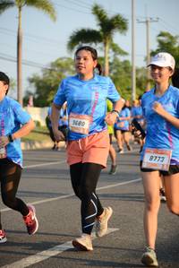 BIB: 9680, 8773
                            <button type="button" onclick="openModal(3323382)" class="btn btn-primary btn-sm float-right btn-popup" data-toggle="modal" data-target=".modal-high-quality">
                        <i class="fas fa-shopping-cart"></i> Add to Cart
                    </button>
                                            <button type="button" onclick="isThisMe(3323382, true)" class="btn btn-success btn-sm float-right btn-popup btn-isme hidden" data-toggle="tooltip" data-placement="bottom" title="นี่คือรูปของคุณใช่ไหม คลิกที่นี่เพื่อเอาเข้าอัลบั้ม">
                        <i class="fas fa-plus"></i> Add to album
                    </button>
                    <button type="button" onclick="isThisMe(3323382, false)" class="btn btn-warning btn-sm float-right btn-popup btn-isnotme hidden">
                        <i class="fas fa-ban"></i> Remove from album
                    </button>