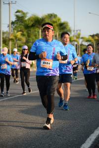 BIB: 8684
                            <button type="button" onclick="openModal(3323270)" class="btn btn-primary btn-sm float-right btn-popup" data-toggle="modal" data-target=".modal-high-quality">
                        <i class="fas fa-shopping-cart"></i> Add to Cart
                    </button>
                                            <button type="button" onclick="isThisMe(3323270, true)" class="btn btn-success btn-sm float-right btn-popup btn-isme hidden" data-toggle="tooltip" data-placement="bottom" title="นี่คือรูปของคุณใช่ไหม คลิกที่นี่เพื่อเอาเข้าอัลบั้ม">
                        <i class="fas fa-plus"></i> Add to album
                    </button>
                    <button type="button" onclick="isThisMe(3323270, false)" class="btn btn-warning btn-sm float-right btn-popup btn-isnotme hidden">
                        <i class="fas fa-ban"></i> Remove from album
                    </button>