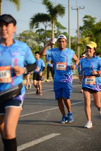 BIB: 8315
                            <button type="button" onclick="openModal(3322868)" class="btn btn-primary btn-sm float-right btn-popup" data-toggle="modal" data-target=".modal-high-quality">
                        <i class="fas fa-shopping-cart"></i> Add to Cart
                    </button>
                                            <button type="button" onclick="isThisMe(3322868, true)" class="btn btn-success btn-sm float-right btn-popup btn-isme hidden" data-toggle="tooltip" data-placement="bottom" title="นี่คือรูปของคุณใช่ไหม คลิกที่นี่เพื่อเอาเข้าอัลบั้ม">
                        <i class="fas fa-plus"></i> Add to album
                    </button>
                    <button type="button" onclick="isThisMe(3322868, false)" class="btn btn-warning btn-sm float-right btn-popup btn-isnotme hidden">
                        <i class="fas fa-ban"></i> Remove from album
                    </button>