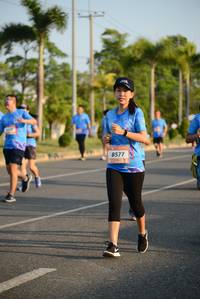 BIB: 8577
                            <button type="button" onclick="openModal(3323426)" class="btn btn-primary btn-sm float-right btn-popup" data-toggle="modal" data-target=".modal-high-quality">
                        <i class="fas fa-shopping-cart"></i> Add to Cart
                    </button>
                                            <button type="button" onclick="isThisMe(3323426, true)" class="btn btn-success btn-sm float-right btn-popup btn-isme hidden" data-toggle="tooltip" data-placement="bottom" title="นี่คือรูปของคุณใช่ไหม คลิกที่นี่เพื่อเอาเข้าอัลบั้ม">
                        <i class="fas fa-plus"></i> Add to album
                    </button>
                    <button type="button" onclick="isThisMe(3323426, false)" class="btn btn-warning btn-sm float-right btn-popup btn-isnotme hidden">
                        <i class="fas fa-ban"></i> Remove from album
                    </button>