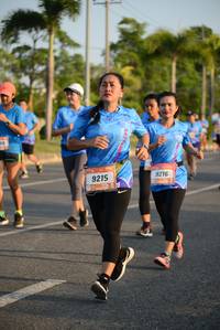 BIB: 9215, 
                            <button type="button" onclick="openModal(3323613)" class="btn btn-primary btn-sm float-right btn-popup" data-toggle="modal" data-target=".modal-high-quality">
                        <i class="fas fa-shopping-cart"></i> Add to Cart
                    </button>
                                            <button type="button" onclick="isThisMe(3323613, true)" class="btn btn-success btn-sm float-right btn-popup btn-isme hidden" data-toggle="tooltip" data-placement="bottom" title="นี่คือรูปของคุณใช่ไหม คลิกที่นี่เพื่อเอาเข้าอัลบั้ม">
                        <i class="fas fa-plus"></i> Add to album
                    </button>
                    <button type="button" onclick="isThisMe(3323613, false)" class="btn btn-warning btn-sm float-right btn-popup btn-isnotme hidden">
                        <i class="fas fa-ban"></i> Remove from album
                    </button>