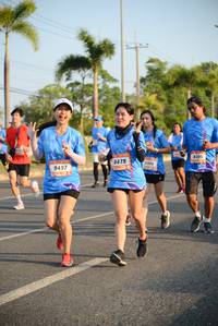 BIB: 8305, 8479, 9497
                            <button type="button" onclick="openModal(3323204)" class="btn btn-primary btn-sm float-right btn-popup" data-toggle="modal" data-target=".modal-high-quality">
                        <i class="fas fa-shopping-cart"></i> Add to Cart
                    </button>
                                            <button type="button" onclick="isThisMe(3323204, true)" class="btn btn-success btn-sm float-right btn-popup btn-isme hidden" data-toggle="tooltip" data-placement="bottom" title="นี่คือรูปของคุณใช่ไหม คลิกที่นี่เพื่อเอาเข้าอัลบั้ม">
                        <i class="fas fa-plus"></i> Add to album
                    </button>
                    <button type="button" onclick="isThisMe(3323204, false)" class="btn btn-warning btn-sm float-right btn-popup btn-isnotme hidden">
                        <i class="fas fa-ban"></i> Remove from album
                    </button>