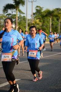 BIB: 9216, 9215
                            <button type="button" onclick="openModal(3323612)" class="btn btn-primary btn-sm float-right btn-popup" data-toggle="modal" data-target=".modal-high-quality">
                        <i class="fas fa-shopping-cart"></i> Add to Cart
                    </button>
                                            <button type="button" onclick="isThisMe(3323612, true)" class="btn btn-success btn-sm float-right btn-popup btn-isme hidden" data-toggle="tooltip" data-placement="bottom" title="นี่คือรูปของคุณใช่ไหม คลิกที่นี่เพื่อเอาเข้าอัลบั้ม">
                        <i class="fas fa-plus"></i> Add to album
                    </button>
                    <button type="button" onclick="isThisMe(3323612, false)" class="btn btn-warning btn-sm float-right btn-popup btn-isnotme hidden">
                        <i class="fas fa-ban"></i> Remove from album
                    </button>