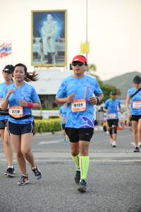 BIB: 9199, 8318
                            <button type="button" onclick="openModal(3325667)" class="btn btn-primary btn-sm float-right btn-popup" data-toggle="modal" data-target=".modal-high-quality">
                        <i class="fas fa-shopping-cart"></i> Add to Cart
                    </button>
                                            <button type="button" onclick="isThisMe(3325667, true)" class="btn btn-success btn-sm float-right btn-popup btn-isme hidden" data-toggle="tooltip" data-placement="bottom" title="นี่คือรูปของคุณใช่ไหม คลิกที่นี่เพื่อเอาเข้าอัลบั้ม">
                        <i class="fas fa-plus"></i> Add to album
                    </button>
                    <button type="button" onclick="isThisMe(3325667, false)" class="btn btn-warning btn-sm float-right btn-popup btn-isnotme hidden">
                        <i class="fas fa-ban"></i> Remove from album
                    </button>