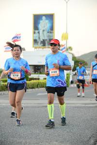 BIB: 9199, 8318
                            <button type="button" onclick="openModal(3325668)" class="btn btn-primary btn-sm float-right btn-popup" data-toggle="modal" data-target=".modal-high-quality">
                        <i class="fas fa-shopping-cart"></i> Add to Cart
                    </button>
                                            <button type="button" onclick="isThisMe(3325668, true)" class="btn btn-success btn-sm float-right btn-popup btn-isme hidden" data-toggle="tooltip" data-placement="bottom" title="นี่คือรูปของคุณใช่ไหม คลิกที่นี่เพื่อเอาเข้าอัลบั้ม">
                        <i class="fas fa-plus"></i> Add to album
                    </button>
                    <button type="button" onclick="isThisMe(3325668, false)" class="btn btn-warning btn-sm float-right btn-popup btn-isnotme hidden">
                        <i class="fas fa-ban"></i> Remove from album
                    </button>