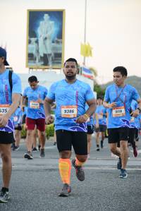 BIB: 535, 9386, 9119
                            <button type="button" onclick="openModal(3326198)" class="btn btn-primary btn-sm float-right btn-popup" data-toggle="modal" data-target=".modal-high-quality">
                        <i class="fas fa-shopping-cart"></i> Add to Cart
                    </button>
                                            <button type="button" onclick="isThisMe(3326198, true)" class="btn btn-success btn-sm float-right btn-popup btn-isme hidden" data-toggle="tooltip" data-placement="bottom" title="นี่คือรูปของคุณใช่ไหม คลิกที่นี่เพื่อเอาเข้าอัลบั้ม">
                        <i class="fas fa-plus"></i> Add to album
                    </button>
                    <button type="button" onclick="isThisMe(3326198, false)" class="btn btn-warning btn-sm float-right btn-popup btn-isnotme hidden">
                        <i class="fas fa-ban"></i> Remove from album
                    </button>