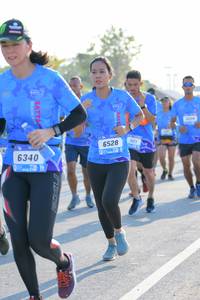 BIB: 6528, 6340
                            <button type="button" onclick="openModal(3177795)" class="btn btn-primary btn-sm float-right btn-popup" data-toggle="modal" data-target=".modal-high-quality">
                        <i class="fas fa-shopping-cart"></i> Add to Cart
                    </button>
                                            <button type="button" onclick="isThisMe(3177795, true)" class="btn btn-success btn-sm float-right btn-popup btn-isme hidden" data-toggle="tooltip" data-placement="bottom" title="นี่คือรูปของคุณใช่ไหม คลิกที่นี่เพื่อเอาเข้าอัลบั้ม">
                        <i class="fas fa-plus"></i> Add to album
                    </button>
                    <button type="button" onclick="isThisMe(3177795, false)" class="btn btn-warning btn-sm float-right btn-popup btn-isnotme hidden">
                        <i class="fas fa-ban"></i> Remove from album
                    </button>