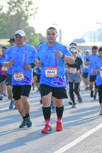 BIB: 8644, 8629
                            <button type="button" onclick="openModal(3181460)" class="btn btn-primary btn-sm float-right btn-popup" data-toggle="modal" data-target=".modal-high-quality">
                        <i class="fas fa-shopping-cart"></i> Add to Cart
                    </button>
                                            <button type="button" onclick="isThisMe(3181460, true)" class="btn btn-success btn-sm float-right btn-popup btn-isme hidden" data-toggle="tooltip" data-placement="bottom" title="นี่คือรูปของคุณใช่ไหม คลิกที่นี่เพื่อเอาเข้าอัลบั้ม">
                        <i class="fas fa-plus"></i> Add to album
                    </button>
                    <button type="button" onclick="isThisMe(3181460, false)" class="btn btn-warning btn-sm float-right btn-popup btn-isnotme hidden">
                        <i class="fas fa-ban"></i> Remove from album
                    </button>