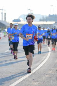 BIB: 8500
                            <button type="button" onclick="openModal(3194688)" class="btn btn-primary btn-sm float-right btn-popup" data-toggle="modal" data-target=".modal-high-quality">
                        <i class="fas fa-shopping-cart"></i> Add to Cart
                    </button>
                                            <button type="button" onclick="isThisMe(3194688, true)" class="btn btn-success btn-sm float-right btn-popup btn-isme hidden" data-toggle="tooltip" data-placement="bottom" title="นี่คือรูปของคุณใช่ไหม คลิกที่นี่เพื่อเอาเข้าอัลบั้ม">
                        <i class="fas fa-plus"></i> Add to album
                    </button>
                    <button type="button" onclick="isThisMe(3194688, false)" class="btn btn-warning btn-sm float-right btn-popup btn-isnotme hidden">
                        <i class="fas fa-ban"></i> Remove from album
                    </button>