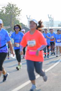 BIB: 
                            <button type="button" onclick="openModal(3191237)" class="btn btn-primary btn-sm float-right btn-popup" data-toggle="modal" data-target=".modal-high-quality">
                        <i class="fas fa-shopping-cart"></i> Add to Cart
                    </button>
                                            <button type="button" onclick="isThisMe(3191237, true)" class="btn btn-success btn-sm float-right btn-popup btn-isme hidden" data-toggle="tooltip" data-placement="bottom" title="นี่คือรูปของคุณใช่ไหม คลิกที่นี่เพื่อเอาเข้าอัลบั้ม">
                        <i class="fas fa-plus"></i> Add to album
                    </button>
                    <button type="button" onclick="isThisMe(3191237, false)" class="btn btn-warning btn-sm float-right btn-popup btn-isnotme hidden">
                        <i class="fas fa-ban"></i> Remove from album
                    </button>