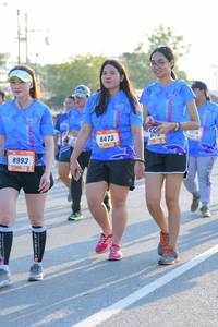 BIB: 8473, 8993
                            <button type="button" onclick="openModal(3203464)" class="btn btn-primary btn-sm float-right btn-popup" data-toggle="modal" data-target=".modal-high-quality">
                        <i class="fas fa-shopping-cart"></i> Add to Cart
                    </button>
                                            <button type="button" onclick="isThisMe(3203464, true)" class="btn btn-success btn-sm float-right btn-popup btn-isme hidden" data-toggle="tooltip" data-placement="bottom" title="นี่คือรูปของคุณใช่ไหม คลิกที่นี่เพื่อเอาเข้าอัลบั้ม">
                        <i class="fas fa-plus"></i> Add to album
                    </button>
                    <button type="button" onclick="isThisMe(3203464, false)" class="btn btn-warning btn-sm float-right btn-popup btn-isnotme hidden">
                        <i class="fas fa-ban"></i> Remove from album
                    </button>