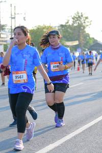 BIB: 808, 9561
                            <button type="button" onclick="openModal(3209010)" class="btn btn-primary btn-sm float-right btn-popup" data-toggle="modal" data-target=".modal-high-quality">
                        <i class="fas fa-shopping-cart"></i> Add to Cart
                    </button>
                                            <button type="button" onclick="isThisMe(3209010, true)" class="btn btn-success btn-sm float-right btn-popup btn-isme hidden" data-toggle="tooltip" data-placement="bottom" title="นี่คือรูปของคุณใช่ไหม คลิกที่นี่เพื่อเอาเข้าอัลบั้ม">
                        <i class="fas fa-plus"></i> Add to album
                    </button>
                    <button type="button" onclick="isThisMe(3209010, false)" class="btn btn-warning btn-sm float-right btn-popup btn-isnotme hidden">
                        <i class="fas fa-ban"></i> Remove from album
                    </button>