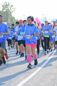 BIB: 884, 6641
                            <button type="button" onclick="openModal(3177474)" class="btn btn-primary btn-sm float-right btn-popup" data-toggle="modal" data-target=".modal-high-quality">
                        <i class="fas fa-shopping-cart"></i> Add to Cart
                    </button>
                                            <button type="button" onclick="isThisMe(3177474, true)" class="btn btn-success btn-sm float-right btn-popup btn-isme hidden" data-toggle="tooltip" data-placement="bottom" title="นี่คือรูปของคุณใช่ไหม คลิกที่นี่เพื่อเอาเข้าอัลบั้ม">
                        <i class="fas fa-plus"></i> Add to album
                    </button>
                    <button type="button" onclick="isThisMe(3177474, false)" class="btn btn-warning btn-sm float-right btn-popup btn-isnotme hidden">
                        <i class="fas fa-ban"></i> Remove from album
                    </button>