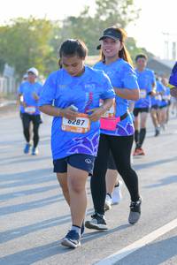 BIB: 
                            <button type="button" onclick="openModal(3183048)" class="btn btn-primary btn-sm float-right btn-popup" data-toggle="modal" data-target=".modal-high-quality">
                        <i class="fas fa-shopping-cart"></i> Add to Cart
                    </button>
                                            <button type="button" onclick="isThisMe(3183048, true)" class="btn btn-success btn-sm float-right btn-popup btn-isme hidden" data-toggle="tooltip" data-placement="bottom" title="นี่คือรูปของคุณใช่ไหม คลิกที่นี่เพื่อเอาเข้าอัลบั้ม">
                        <i class="fas fa-plus"></i> Add to album
                    </button>
                    <button type="button" onclick="isThisMe(3183048, false)" class="btn btn-warning btn-sm float-right btn-popup btn-isnotme hidden">
                        <i class="fas fa-ban"></i> Remove from album
                    </button>