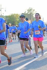 BIB: 8903
                            <button type="button" onclick="openModal(3203649)" class="btn btn-primary btn-sm float-right btn-popup" data-toggle="modal" data-target=".modal-high-quality">
                        <i class="fas fa-shopping-cart"></i> Add to Cart
                    </button>
                                            <button type="button" onclick="isThisMe(3203649, true)" class="btn btn-success btn-sm float-right btn-popup btn-isme hidden" data-toggle="tooltip" data-placement="bottom" title="นี่คือรูปของคุณใช่ไหม คลิกที่นี่เพื่อเอาเข้าอัลบั้ม">
                        <i class="fas fa-plus"></i> Add to album
                    </button>
                    <button type="button" onclick="isThisMe(3203649, false)" class="btn btn-warning btn-sm float-right btn-popup btn-isnotme hidden">
                        <i class="fas fa-ban"></i> Remove from album
                    </button>