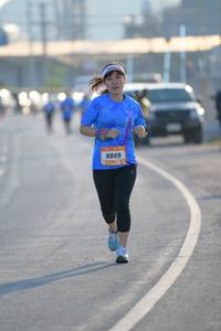 BIB: 9809
                            <button type="button" onclick="openModal(3236536)" class="btn btn-primary btn-sm float-right btn-popup" data-toggle="modal" data-target=".modal-high-quality">
                        <i class="fas fa-shopping-cart"></i> Add to Cart
                    </button>
                                            <button type="button" onclick="isThisMe(3236536, true)" class="btn btn-success btn-sm float-right btn-popup btn-isme hidden" data-toggle="tooltip" data-placement="bottom" title="นี่คือรูปของคุณใช่ไหม คลิกที่นี่เพื่อเอาเข้าอัลบั้ม">
                        <i class="fas fa-plus"></i> Add to album
                    </button>
                    <button type="button" onclick="isThisMe(3236536, false)" class="btn btn-warning btn-sm float-right btn-popup btn-isnotme hidden">
                        <i class="fas fa-ban"></i> Remove from album
                    </button>