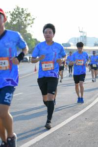 BIB: 9171, 9633
                            <button type="button" onclick="openModal(3192288)" class="btn btn-primary btn-sm float-right btn-popup" data-toggle="modal" data-target=".modal-high-quality">
                        <i class="fas fa-shopping-cart"></i> Add to Cart
                    </button>
                                            <button type="button" onclick="isThisMe(3192288, true)" class="btn btn-success btn-sm float-right btn-popup btn-isme hidden" data-toggle="tooltip" data-placement="bottom" title="นี่คือรูปของคุณใช่ไหม คลิกที่นี่เพื่อเอาเข้าอัลบั้ม">
                        <i class="fas fa-plus"></i> Add to album
                    </button>
                    <button type="button" onclick="isThisMe(3192288, false)" class="btn btn-warning btn-sm float-right btn-popup btn-isnotme hidden">
                        <i class="fas fa-ban"></i> Remove from album
                    </button>