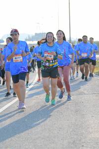 BIB: 9178, 8277
                            <button type="button" onclick="openModal(3207785)" class="btn btn-primary btn-sm float-right btn-popup" data-toggle="modal" data-target=".modal-high-quality">
                        <i class="fas fa-shopping-cart"></i> Add to Cart
                    </button>
                                            <button type="button" onclick="isThisMe(3207785, true)" class="btn btn-success btn-sm float-right btn-popup btn-isme hidden" data-toggle="tooltip" data-placement="bottom" title="นี่คือรูปของคุณใช่ไหม คลิกที่นี่เพื่อเอาเข้าอัลบั้ม">
                        <i class="fas fa-plus"></i> Add to album
                    </button>
                    <button type="button" onclick="isThisMe(3207785, false)" class="btn btn-warning btn-sm float-right btn-popup btn-isnotme hidden">
                        <i class="fas fa-ban"></i> Remove from album
                    </button>