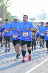 BIB: 8644, 8629
                            <button type="button" onclick="openModal(3181158)" class="btn btn-primary btn-sm float-right btn-popup" data-toggle="modal" data-target=".modal-high-quality">
                        <i class="fas fa-shopping-cart"></i> Add to Cart
                    </button>
                                            <button type="button" onclick="isThisMe(3181158, true)" class="btn btn-success btn-sm float-right btn-popup btn-isme hidden" data-toggle="tooltip" data-placement="bottom" title="นี่คือรูปของคุณใช่ไหม คลิกที่นี่เพื่อเอาเข้าอัลบั้ม">
                        <i class="fas fa-plus"></i> Add to album
                    </button>
                    <button type="button" onclick="isThisMe(3181158, false)" class="btn btn-warning btn-sm float-right btn-popup btn-isnotme hidden">
                        <i class="fas fa-ban"></i> Remove from album
                    </button>