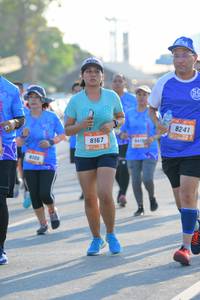 BIB: 8241, 8167, 8100
                            <button type="button" onclick="openModal(3187664)" class="btn btn-primary btn-sm float-right btn-popup" data-toggle="modal" data-target=".modal-high-quality">
                        <i class="fas fa-shopping-cart"></i> Add to Cart
                    </button>
                                            <button type="button" onclick="isThisMe(3187664, true)" class="btn btn-success btn-sm float-right btn-popup btn-isme hidden" data-toggle="tooltip" data-placement="bottom" title="นี่คือรูปของคุณใช่ไหม คลิกที่นี่เพื่อเอาเข้าอัลบั้ม">
                        <i class="fas fa-plus"></i> Add to album
                    </button>
                    <button type="button" onclick="isThisMe(3187664, false)" class="btn btn-warning btn-sm float-right btn-popup btn-isnotme hidden">
                        <i class="fas fa-ban"></i> Remove from album
                    </button>