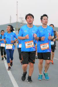 BIB: 9214, 9913, 9217
                            <button type="button" onclick="openModal(3257565)" class="btn btn-primary btn-sm float-right btn-popup" data-toggle="modal" data-target=".modal-high-quality">
                        <i class="fas fa-shopping-cart"></i> Add to Cart
                    </button>
                                            <button type="button" onclick="isThisMe(3257565, true)" class="btn btn-success btn-sm float-right btn-popup btn-isme hidden" data-toggle="tooltip" data-placement="bottom" title="นี่คือรูปของคุณใช่ไหม คลิกที่นี่เพื่อเอาเข้าอัลบั้ม">
                        <i class="fas fa-plus"></i> Add to album
                    </button>
                    <button type="button" onclick="isThisMe(3257565, false)" class="btn btn-warning btn-sm float-right btn-popup btn-isnotme hidden">
                        <i class="fas fa-ban"></i> Remove from album
                    </button>