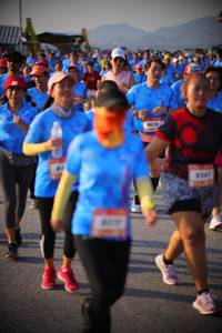 BIB: 8634, 941
                            <button type="button" onclick="openModal(3196509)" class="btn btn-primary btn-sm float-right btn-popup" data-toggle="modal" data-target=".modal-high-quality">
                        <i class="fas fa-shopping-cart"></i> Add to Cart
                    </button>
                                            <button type="button" onclick="isThisMe(3196509, true)" class="btn btn-success btn-sm float-right btn-popup btn-isme hidden" data-toggle="tooltip" data-placement="bottom" title="นี่คือรูปของคุณใช่ไหม คลิกที่นี่เพื่อเอาเข้าอัลบั้ม">
                        <i class="fas fa-plus"></i> Add to album
                    </button>
                    <button type="button" onclick="isThisMe(3196509, false)" class="btn btn-warning btn-sm float-right btn-popup btn-isnotme hidden">
                        <i class="fas fa-ban"></i> Remove from album
                    </button>