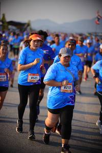 BIB: 448, 8521, 8272
                            <button type="button" onclick="openModal(3195001)" class="btn btn-primary btn-sm float-right btn-popup" data-toggle="modal" data-target=".modal-high-quality">
                        <i class="fas fa-shopping-cart"></i> Add to Cart
                    </button>
                                            <button type="button" onclick="isThisMe(3195001, true)" class="btn btn-success btn-sm float-right btn-popup btn-isme hidden" data-toggle="tooltip" data-placement="bottom" title="นี่คือรูปของคุณใช่ไหม คลิกที่นี่เพื่อเอาเข้าอัลบั้ม">
                        <i class="fas fa-plus"></i> Add to album
                    </button>
                    <button type="button" onclick="isThisMe(3195001, false)" class="btn btn-warning btn-sm float-right btn-popup btn-isnotme hidden">
                        <i class="fas fa-ban"></i> Remove from album
                    </button>