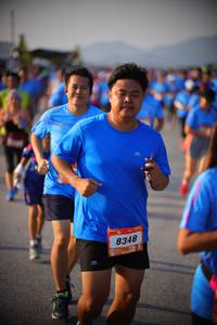 BIB: 8348
                            <button type="button" onclick="openModal(3194812)" class="btn btn-primary btn-sm float-right btn-popup" data-toggle="modal" data-target=".modal-high-quality">
                        <i class="fas fa-shopping-cart"></i> Add to Cart
                    </button>
                                            <button type="button" onclick="isThisMe(3194812, true)" class="btn btn-success btn-sm float-right btn-popup btn-isme hidden" data-toggle="tooltip" data-placement="bottom" title="นี่คือรูปของคุณใช่ไหม คลิกที่นี่เพื่อเอาเข้าอัลบั้ม">
                        <i class="fas fa-plus"></i> Add to album
                    </button>
                    <button type="button" onclick="isThisMe(3194812, false)" class="btn btn-warning btn-sm float-right btn-popup btn-isnotme hidden">
                        <i class="fas fa-ban"></i> Remove from album
                    </button>