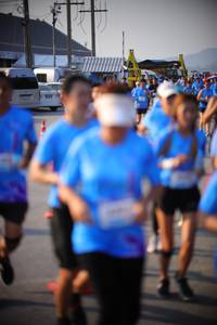 BIB: 
                            <button type="button" onclick="openModal(3190790)" class="btn btn-primary btn-sm float-right btn-popup" data-toggle="modal" data-target=".modal-high-quality">
                        <i class="fas fa-shopping-cart"></i> Add to Cart
                    </button>
                                            <button type="button" onclick="isThisMe(3190790, true)" class="btn btn-success btn-sm float-right btn-popup btn-isme hidden" data-toggle="tooltip" data-placement="bottom" title="นี่คือรูปของคุณใช่ไหม คลิกที่นี่เพื่อเอาเข้าอัลบั้ม">
                        <i class="fas fa-plus"></i> Add to album
                    </button>
                    <button type="button" onclick="isThisMe(3190790, false)" class="btn btn-warning btn-sm float-right btn-popup btn-isnotme hidden">
                        <i class="fas fa-ban"></i> Remove from album
                    </button>