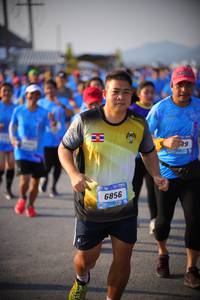 BIB: 6856
                            <button type="button" onclick="openModal(3182552)" class="btn btn-primary btn-sm float-right btn-popup" data-toggle="modal" data-target=".modal-high-quality">
                        <i class="fas fa-shopping-cart"></i> Add to Cart
                    </button>
                                            <button type="button" onclick="isThisMe(3182552, true)" class="btn btn-success btn-sm float-right btn-popup btn-isme hidden" data-toggle="tooltip" data-placement="bottom" title="นี่คือรูปของคุณใช่ไหม คลิกที่นี่เพื่อเอาเข้าอัลบั้ม">
                        <i class="fas fa-plus"></i> Add to album
                    </button>
                    <button type="button" onclick="isThisMe(3182552, false)" class="btn btn-warning btn-sm float-right btn-popup btn-isnotme hidden">
                        <i class="fas fa-ban"></i> Remove from album
                    </button>