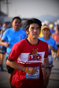 BIB: 
                            <button type="button" onclick="openModal(3190630)" class="btn btn-primary btn-sm float-right btn-popup" data-toggle="modal" data-target=".modal-high-quality">
                        <i class="fas fa-shopping-cart"></i> Add to Cart
                    </button>
                                            <button type="button" onclick="isThisMe(3190630, true)" class="btn btn-success btn-sm float-right btn-popup btn-isme hidden" data-toggle="tooltip" data-placement="bottom" title="นี่คือรูปของคุณใช่ไหม คลิกที่นี่เพื่อเอาเข้าอัลบั้ม">
                        <i class="fas fa-plus"></i> Add to album
                    </button>
                    <button type="button" onclick="isThisMe(3190630, false)" class="btn btn-warning btn-sm float-right btn-popup btn-isnotme hidden">
                        <i class="fas fa-ban"></i> Remove from album
                    </button>