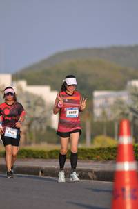 BIB: 6683, 6770
                            <button type="button" onclick="openModal(3117699)" class="btn btn-primary btn-sm float-right btn-popup" data-toggle="modal" data-target=".modal-high-quality">
                        <i class="fas fa-shopping-cart"></i> Add to Cart
                    </button>
                                            <button type="button" onclick="isThisMe(3117699, true)" class="btn btn-success btn-sm float-right btn-popup btn-isme hidden" data-toggle="tooltip" data-placement="bottom" title="นี่คือรูปของคุณใช่ไหม คลิกที่นี่เพื่อเอาเข้าอัลบั้ม">
                        <i class="fas fa-plus"></i> Add to album
                    </button>
                    <button type="button" onclick="isThisMe(3117699, false)" class="btn btn-warning btn-sm float-right btn-popup btn-isnotme hidden">
                        <i class="fas fa-ban"></i> Remove from album
                    </button>