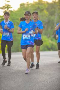 BIB: 6509, 6510
                            <button type="button" onclick="openModal(3268162)" class="btn btn-primary btn-sm float-right btn-popup" data-toggle="modal" data-target=".modal-high-quality">
                        <i class="fas fa-shopping-cart"></i> Add to Cart
                    </button>
                                            <button type="button" onclick="isThisMe(3268162, true)" class="btn btn-success btn-sm float-right btn-popup btn-isme hidden" data-toggle="tooltip" data-placement="bottom" title="นี่คือรูปของคุณใช่ไหม คลิกที่นี่เพื่อเอาเข้าอัลบั้ม">
                        <i class="fas fa-plus"></i> Add to album
                    </button>
                    <button type="button" onclick="isThisMe(3268162, false)" class="btn btn-warning btn-sm float-right btn-popup btn-isnotme hidden">
                        <i class="fas fa-ban"></i> Remove from album
                    </button>