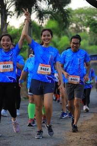 BIB: 9561, 9464, 9465
                            <button type="button" onclick="openModal(3309356)" class="btn btn-primary btn-sm float-right btn-popup" data-toggle="modal" data-target=".modal-high-quality">
                        <i class="fas fa-shopping-cart"></i> Add to Cart
                    </button>
                                            <button type="button" onclick="isThisMe(3309356, true)" class="btn btn-success btn-sm float-right btn-popup btn-isme hidden" data-toggle="tooltip" data-placement="bottom" title="นี่คือรูปของคุณใช่ไหม คลิกที่นี่เพื่อเอาเข้าอัลบั้ม">
                        <i class="fas fa-plus"></i> Add to album
                    </button>
                    <button type="button" onclick="isThisMe(3309356, false)" class="btn btn-warning btn-sm float-right btn-popup btn-isnotme hidden">
                        <i class="fas fa-ban"></i> Remove from album
                    </button>