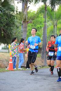 BIB: 6096, 759
                            <button type="button" onclick="openModal(3310917)" class="btn btn-primary btn-sm float-right btn-popup" data-toggle="modal" data-target=".modal-high-quality">
                        <i class="fas fa-shopping-cart"></i> Add to Cart
                    </button>
                                            <button type="button" onclick="isThisMe(3310917, true)" class="btn btn-success btn-sm float-right btn-popup btn-isme hidden" data-toggle="tooltip" data-placement="bottom" title="นี่คือรูปของคุณใช่ไหม คลิกที่นี่เพื่อเอาเข้าอัลบั้ม">
                        <i class="fas fa-plus"></i> Add to album
                    </button>
                    <button type="button" onclick="isThisMe(3310917, false)" class="btn btn-warning btn-sm float-right btn-popup btn-isnotme hidden">
                        <i class="fas fa-ban"></i> Remove from album
                    </button>