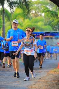 BIB: 8178, 8024
                            <button type="button" onclick="openModal(3301177)" class="btn btn-primary btn-sm float-right btn-popup" data-toggle="modal" data-target=".modal-high-quality">
                        <i class="fas fa-shopping-cart"></i> Add to Cart
                    </button>
                                            <button type="button" onclick="isThisMe(3301177, true)" class="btn btn-success btn-sm float-right btn-popup btn-isme hidden" data-toggle="tooltip" data-placement="bottom" title="นี่คือรูปของคุณใช่ไหม คลิกที่นี่เพื่อเอาเข้าอัลบั้ม">
                        <i class="fas fa-plus"></i> Add to album
                    </button>
                    <button type="button" onclick="isThisMe(3301177, false)" class="btn btn-warning btn-sm float-right btn-popup btn-isnotme hidden">
                        <i class="fas fa-ban"></i> Remove from album
                    </button>