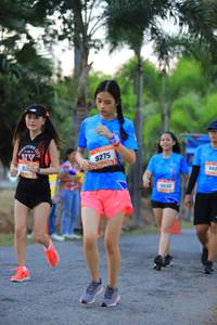 BIB: 9275, 883, 835
                            <button type="button" onclick="openModal(3311337)" class="btn btn-primary btn-sm float-right btn-popup" data-toggle="modal" data-target=".modal-high-quality">
                        <i class="fas fa-shopping-cart"></i> Add to Cart
                    </button>
                                            <button type="button" onclick="isThisMe(3311337, true)" class="btn btn-success btn-sm float-right btn-popup btn-isme hidden" data-toggle="tooltip" data-placement="bottom" title="นี่คือรูปของคุณใช่ไหม คลิกที่นี่เพื่อเอาเข้าอัลบั้ม">
                        <i class="fas fa-plus"></i> Add to album
                    </button>
                    <button type="button" onclick="isThisMe(3311337, false)" class="btn btn-warning btn-sm float-right btn-popup btn-isnotme hidden">
                        <i class="fas fa-ban"></i> Remove from album
                    </button>