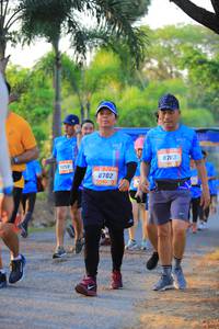 BIB: 8703, 259, 8702
                            <button type="button" onclick="openModal(3302521)" class="btn btn-primary btn-sm float-right btn-popup" data-toggle="modal" data-target=".modal-high-quality">
                        <i class="fas fa-shopping-cart"></i> Add to Cart
                    </button>
                                            <button type="button" onclick="isThisMe(3302521, true)" class="btn btn-success btn-sm float-right btn-popup btn-isme hidden" data-toggle="tooltip" data-placement="bottom" title="นี่คือรูปของคุณใช่ไหม คลิกที่นี่เพื่อเอาเข้าอัลบั้ม">
                        <i class="fas fa-plus"></i> Add to album
                    </button>
                    <button type="button" onclick="isThisMe(3302521, false)" class="btn btn-warning btn-sm float-right btn-popup btn-isnotme hidden">
                        <i class="fas fa-ban"></i> Remove from album
                    </button>