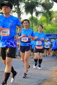 BIB: 8563, 8634
                            <button type="button" onclick="openModal(3302697)" class="btn btn-primary btn-sm float-right btn-popup" data-toggle="modal" data-target=".modal-high-quality">
                        <i class="fas fa-shopping-cart"></i> Add to Cart
                    </button>
                                            <button type="button" onclick="isThisMe(3302697, true)" class="btn btn-success btn-sm float-right btn-popup btn-isme hidden" data-toggle="tooltip" data-placement="bottom" title="นี่คือรูปของคุณใช่ไหม คลิกที่นี่เพื่อเอาเข้าอัลบั้ม">
                        <i class="fas fa-plus"></i> Add to album
                    </button>
                    <button type="button" onclick="isThisMe(3302697, false)" class="btn btn-warning btn-sm float-right btn-popup btn-isnotme hidden">
                        <i class="fas fa-ban"></i> Remove from album
                    </button>