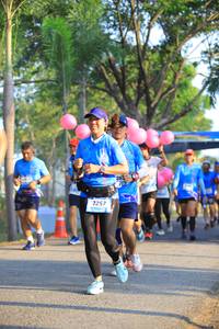 BIB: 257
                            <button type="button" onclick="openModal(3293658)" class="btn btn-primary btn-sm float-right btn-popup" data-toggle="modal" data-target=".modal-high-quality">
                        <i class="fas fa-shopping-cart"></i> Add to Cart
                    </button>
                                            <button type="button" onclick="isThisMe(3293658, true)" class="btn btn-success btn-sm float-right btn-popup btn-isme hidden" data-toggle="tooltip" data-placement="bottom" title="นี่คือรูปของคุณใช่ไหม คลิกที่นี่เพื่อเอาเข้าอัลบั้ม">
                        <i class="fas fa-plus"></i> Add to album
                    </button>
                    <button type="button" onclick="isThisMe(3293658, false)" class="btn btn-warning btn-sm float-right btn-popup btn-isnotme hidden">
                        <i class="fas fa-ban"></i> Remove from album
                    </button>