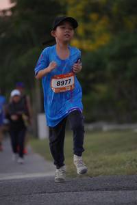 BIB: 8977
                            <button type="button" onclick="openModal(3486924)" class="btn btn-primary btn-sm float-right btn-popup" data-toggle="modal" data-target=".modal-high-quality">
                        <i class="fas fa-shopping-cart"></i> Add to Cart
                    </button>
                                            <button type="button" onclick="isThisMe(3486924, true)" class="btn btn-success btn-sm float-right btn-popup btn-isme hidden" data-toggle="tooltip" data-placement="bottom" title="นี่คือรูปของคุณใช่ไหม คลิกที่นี่เพื่อเอาเข้าอัลบั้ม">
                        <i class="fas fa-plus"></i> Add to album
                    </button>
                    <button type="button" onclick="isThisMe(3486924, false)" class="btn btn-warning btn-sm float-right btn-popup btn-isnotme hidden">
                        <i class="fas fa-ban"></i> Remove from album
                    </button>