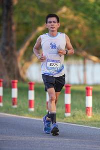 BIB: 6275
                            <button type="button" onclick="openModal(3466332)" class="btn btn-primary btn-sm float-right btn-popup" data-toggle="modal" data-target=".modal-high-quality">
                        <i class="fas fa-shopping-cart"></i> Add to Cart
                    </button>
                                            <button type="button" onclick="isThisMe(3466332, true)" class="btn btn-success btn-sm float-right btn-popup btn-isme hidden" data-toggle="tooltip" data-placement="bottom" title="นี่คือรูปของคุณใช่ไหม คลิกที่นี่เพื่อเอาเข้าอัลบั้ม">
                        <i class="fas fa-plus"></i> Add to album
                    </button>
                    <button type="button" onclick="isThisMe(3466332, false)" class="btn btn-warning btn-sm float-right btn-popup btn-isnotme hidden">
                        <i class="fas fa-ban"></i> Remove from album
                    </button>