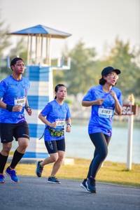 BIB: 6400, 6183
                            <button type="button" onclick="openModal(3515208)" class="btn btn-primary btn-sm float-right btn-popup" data-toggle="modal" data-target=".modal-high-quality">
                        <i class="fas fa-shopping-cart"></i> Add to Cart
                    </button>
                                            <button type="button" onclick="isThisMe(3515208, true)" class="btn btn-success btn-sm float-right btn-popup btn-isme hidden" data-toggle="tooltip" data-placement="bottom" title="นี่คือรูปของคุณใช่ไหม คลิกที่นี่เพื่อเอาเข้าอัลบั้ม">
                        <i class="fas fa-plus"></i> Add to album
                    </button>
                    <button type="button" onclick="isThisMe(3515208, false)" class="btn btn-warning btn-sm float-right btn-popup btn-isnotme hidden">
                        <i class="fas fa-ban"></i> Remove from album
                    </button>