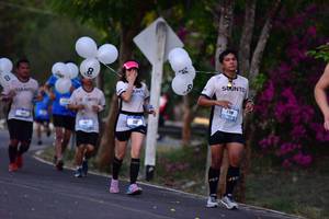 BIB: 
                            <button type="button" onclick="openModal(3326329)" class="btn btn-primary btn-sm float-right btn-popup" data-toggle="modal" data-target=".modal-high-quality">
                        <i class="fas fa-shopping-cart"></i> Add to Cart
                    </button>
                                            <button type="button" onclick="isThisMe(3326329, true)" class="btn btn-success btn-sm float-right btn-popup btn-isme hidden" data-toggle="tooltip" data-placement="bottom" title="นี่คือรูปของคุณใช่ไหม คลิกที่นี่เพื่อเอาเข้าอัลบั้ม">
                        <i class="fas fa-plus"></i> Add to album
                    </button>
                    <button type="button" onclick="isThisMe(3326329, false)" class="btn btn-warning btn-sm float-right btn-popup btn-isnotme hidden">
                        <i class="fas fa-ban"></i> Remove from album
                    </button>