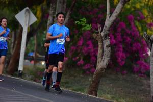 BIB: 7242, 6451
                            <button type="button" onclick="openModal(3325991)" class="btn btn-primary btn-sm float-right btn-popup" data-toggle="modal" data-target=".modal-high-quality">
                        <i class="fas fa-shopping-cart"></i> Add to Cart
                    </button>
                                            <button type="button" onclick="isThisMe(3325991, true)" class="btn btn-success btn-sm float-right btn-popup btn-isme hidden" data-toggle="tooltip" data-placement="bottom" title="นี่คือรูปของคุณใช่ไหม คลิกที่นี่เพื่อเอาเข้าอัลบั้ม">
                        <i class="fas fa-plus"></i> Add to album
                    </button>
                    <button type="button" onclick="isThisMe(3325991, false)" class="btn btn-warning btn-sm float-right btn-popup btn-isnotme hidden">
                        <i class="fas fa-ban"></i> Remove from album
                    </button>