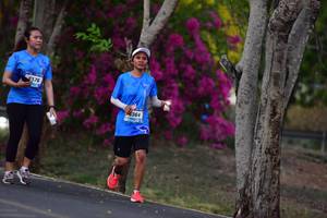 BIB: 576, 364
                            <button type="button" onclick="openModal(3325606)" class="btn btn-primary btn-sm float-right btn-popup" data-toggle="modal" data-target=".modal-high-quality">
                        <i class="fas fa-shopping-cart"></i> Add to Cart
                    </button>
                                            <button type="button" onclick="isThisMe(3325606, true)" class="btn btn-success btn-sm float-right btn-popup btn-isme hidden" data-toggle="tooltip" data-placement="bottom" title="นี่คือรูปของคุณใช่ไหม คลิกที่นี่เพื่อเอาเข้าอัลบั้ม">
                        <i class="fas fa-plus"></i> Add to album
                    </button>
                    <button type="button" onclick="isThisMe(3325606, false)" class="btn btn-warning btn-sm float-right btn-popup btn-isnotme hidden">
                        <i class="fas fa-ban"></i> Remove from album
                    </button>