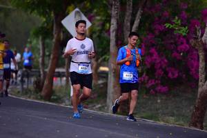 BIB: 6229, 011
                            <button type="button" onclick="openModal(3326284)" class="btn btn-primary btn-sm float-right btn-popup" data-toggle="modal" data-target=".modal-high-quality">
                        <i class="fas fa-shopping-cart"></i> Add to Cart
                    </button>
                                            <button type="button" onclick="isThisMe(3326284, true)" class="btn btn-success btn-sm float-right btn-popup btn-isme hidden" data-toggle="tooltip" data-placement="bottom" title="นี่คือรูปของคุณใช่ไหม คลิกที่นี่เพื่อเอาเข้าอัลบั้ม">
                        <i class="fas fa-plus"></i> Add to album
                    </button>
                    <button type="button" onclick="isThisMe(3326284, false)" class="btn btn-warning btn-sm float-right btn-popup btn-isnotme hidden">
                        <i class="fas fa-ban"></i> Remove from album
                    </button>