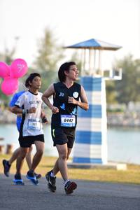 BIB: 6442, 105
                            <button type="button" onclick="openModal(3230617)" class="btn btn-primary btn-sm float-right btn-popup" data-toggle="modal" data-target=".modal-high-quality">
                        <i class="fas fa-shopping-cart"></i> Add to Cart
                    </button>
                                            <button type="button" onclick="isThisMe(3230617, true)" class="btn btn-success btn-sm float-right btn-popup btn-isme hidden" data-toggle="tooltip" data-placement="bottom" title="นี่คือรูปของคุณใช่ไหม คลิกที่นี่เพื่อเอาเข้าอัลบั้ม">
                        <i class="fas fa-plus"></i> Add to album
                    </button>
                    <button type="button" onclick="isThisMe(3230617, false)" class="btn btn-warning btn-sm float-right btn-popup btn-isnotme hidden">
                        <i class="fas fa-ban"></i> Remove from album
                    </button>