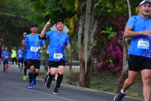 BIB: 6703, 6618, 6849
                            <button type="button" onclick="openModal(3325232)" class="btn btn-primary btn-sm float-right btn-popup" data-toggle="modal" data-target=".modal-high-quality">
                        <i class="fas fa-shopping-cart"></i> Add to Cart
                    </button>
                                            <button type="button" onclick="isThisMe(3325232, true)" class="btn btn-success btn-sm float-right btn-popup btn-isme hidden" data-toggle="tooltip" data-placement="bottom" title="นี่คือรูปของคุณใช่ไหม คลิกที่นี่เพื่อเอาเข้าอัลบั้ม">
                        <i class="fas fa-plus"></i> Add to album
                    </button>
                    <button type="button" onclick="isThisMe(3325232, false)" class="btn btn-warning btn-sm float-right btn-popup btn-isnotme hidden">
                        <i class="fas fa-ban"></i> Remove from album
                    </button>